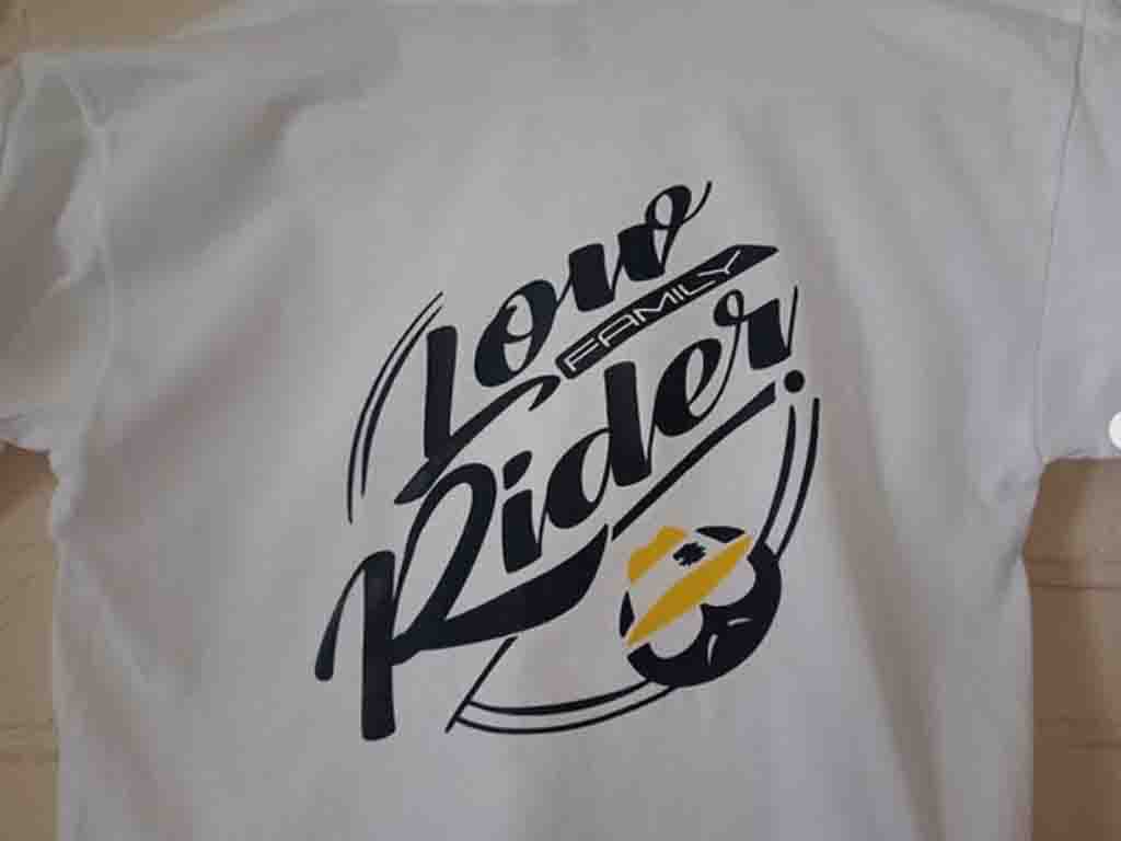 camisas impresas juveniles varios modelos